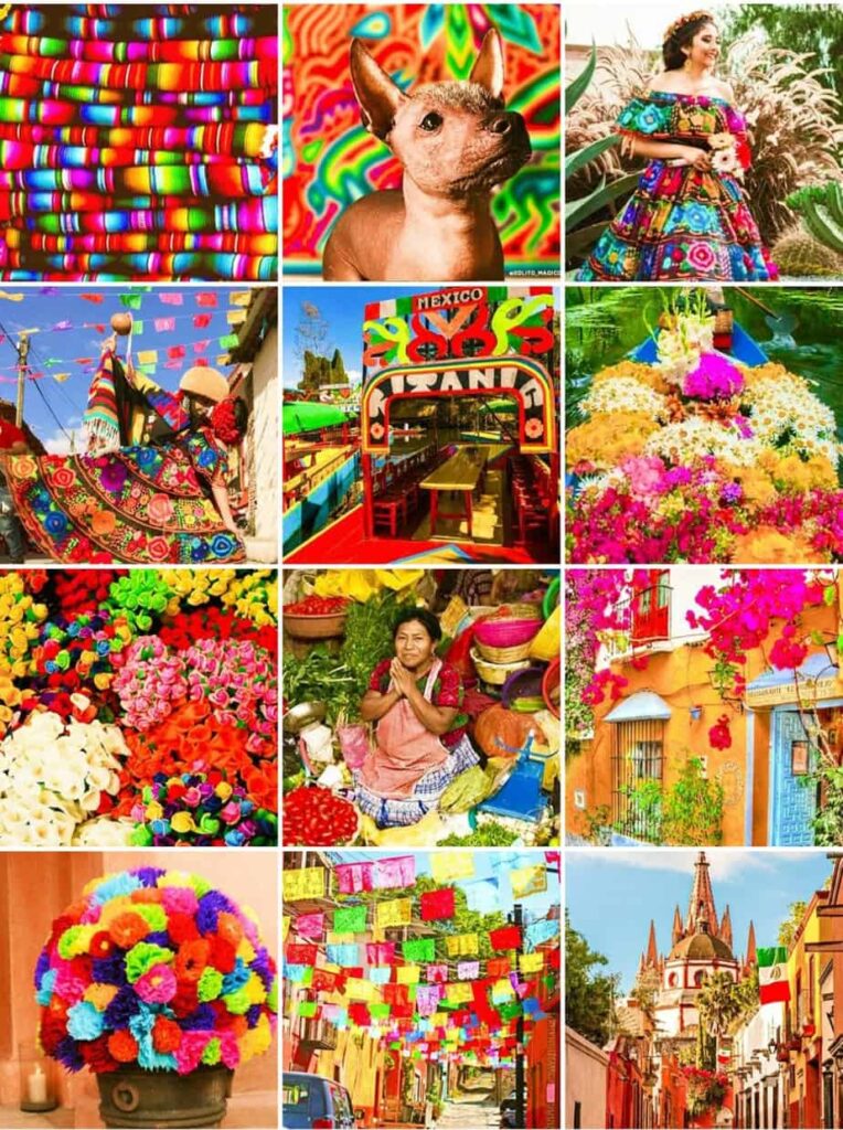 feed arcoiris