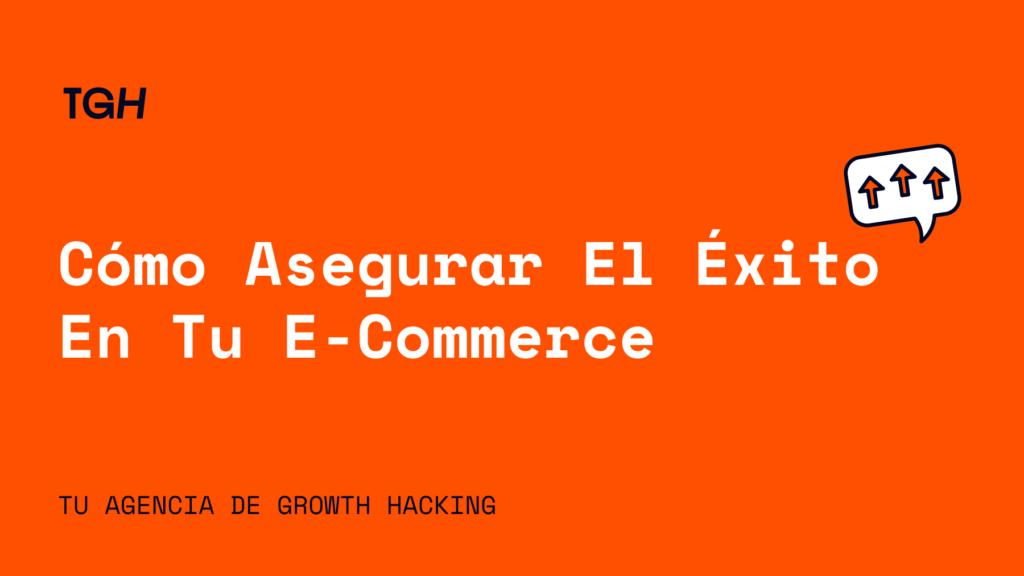 asegurar exito ecommerce